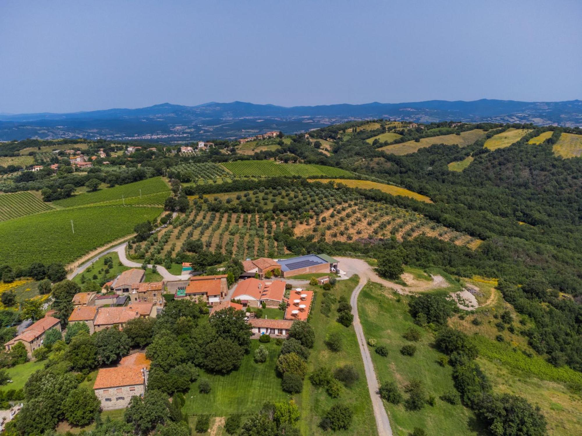 Holiday Home Ciliegiolo By Interhome Cinigiano Exteriör bild