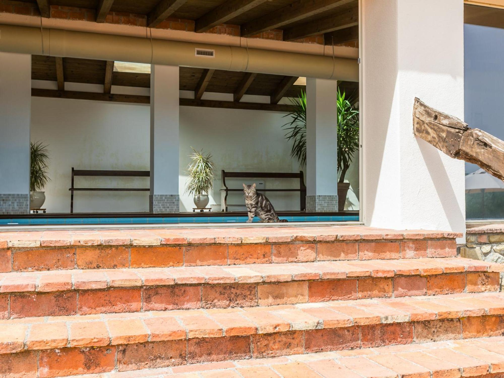 Holiday Home Ciliegiolo By Interhome Cinigiano Exteriör bild